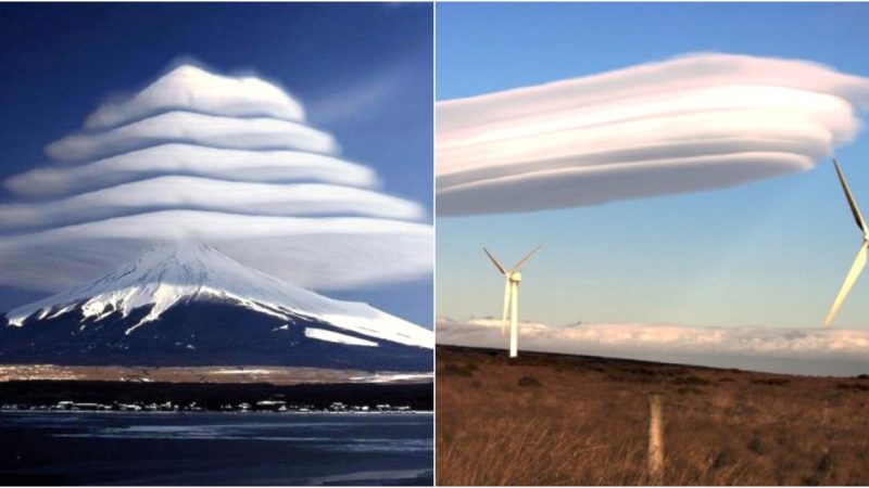 Top 5 Spectacularly Amazing, Unusual Natural Events That Occur on Earth