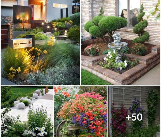 50 Unique Front Yard Landscaping Ideas to Boost Your Home’s Curb Appeal