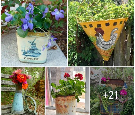 25 Incredibly Unique Ideas for Creating Charming Tin Planters for Your Garden