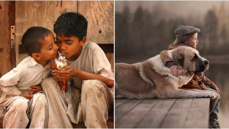 The Sacred Bond of Friendship: Children and Their Animal Companions