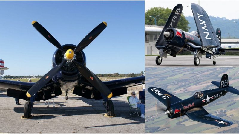 Rich History of the Vought F4U Corsair: Honoring the Iconic Bent-Winged Aircraft in All Its Glory