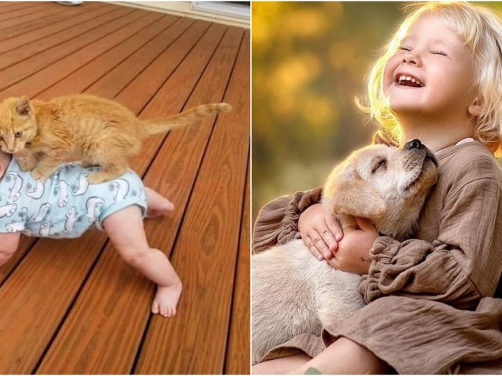 The Profound Bond Between Babies and Their Pets: A Tale of Love and Protection