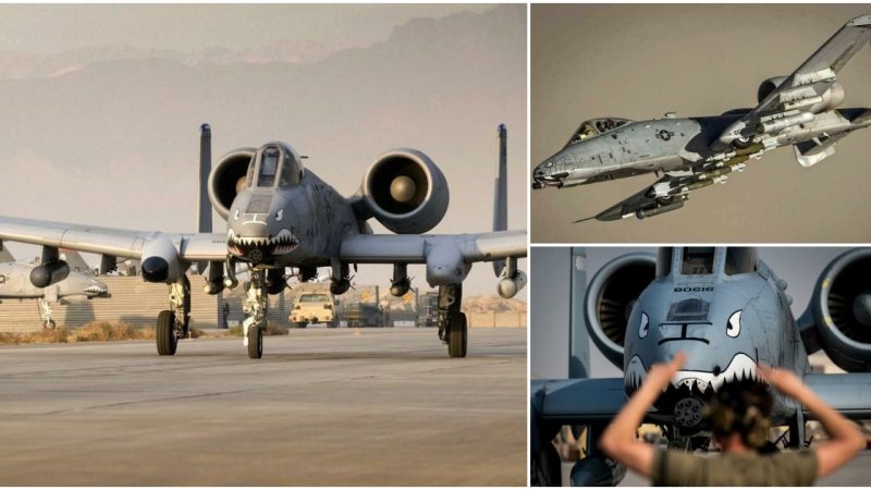 Thundering Trio: A-10 Thunderbolt II Joins F-15E and F-16 Fighters in Middle Eastern Skies